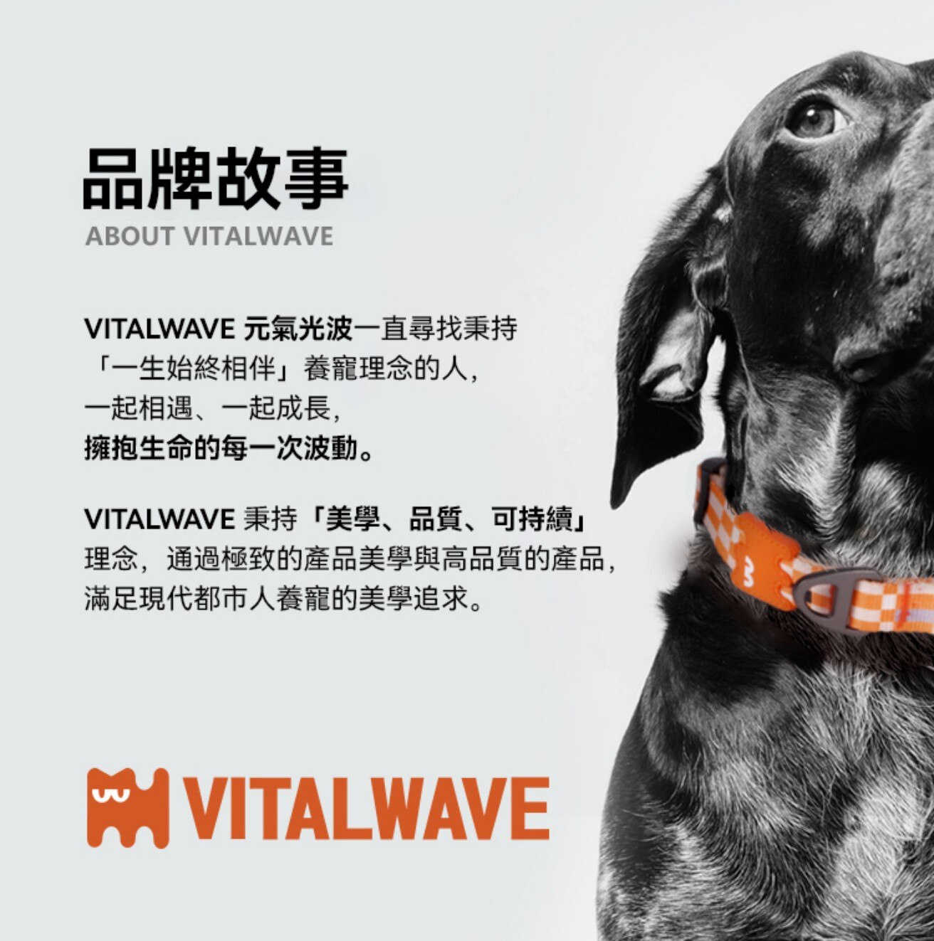 VITAL WAVE 波拉克系列牽引繩
